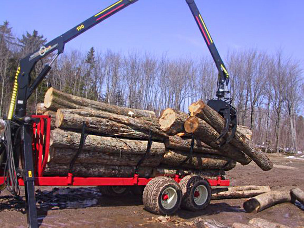 firewood image